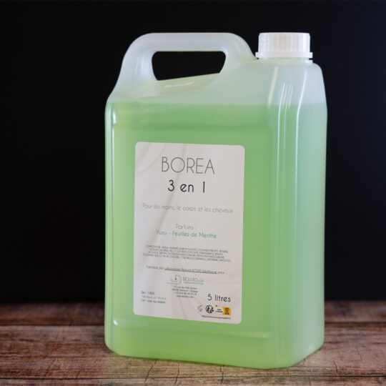 Gel douche 3 en 1 Borea en 5 litres